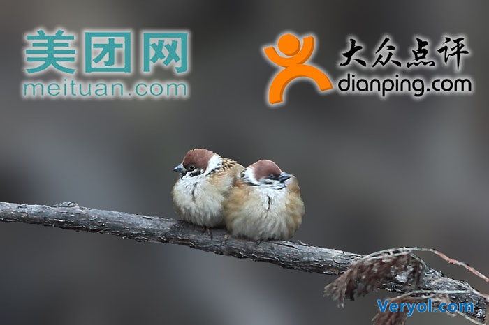 美團和大眾點評正式聯姻!催生中國最大的O2O公司(圖1) 2