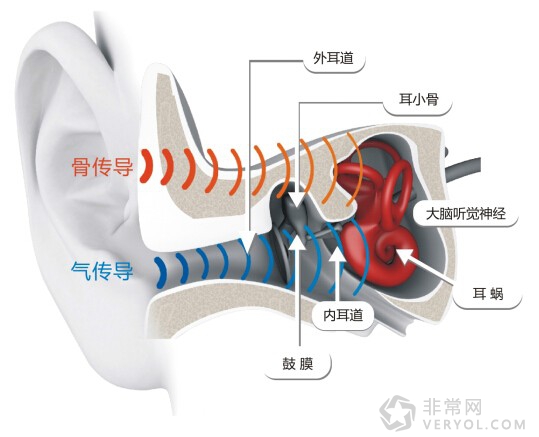 骨傳導相關漲停背后,關于AfterShokz這頭深海藍鯨(圖2) 骨傳導相關漲停背后,關于AfterShokz這頭深海藍鯨(圖2)