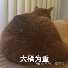 貓主子的運動方程 首次被物理學家破解！