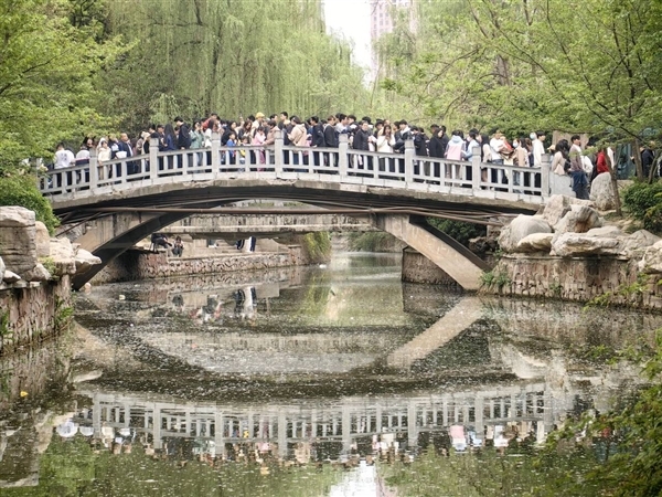 清明假期國內游客共花費539.5億元！出游人次達1.19億