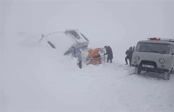 遭遇50年不遇雪災！蒙古國入冬以來已損失超60萬頭牲畜