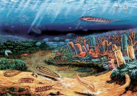 5.6-5.2億年前寒武紀生命大爆發：我國科學家有重大發現
