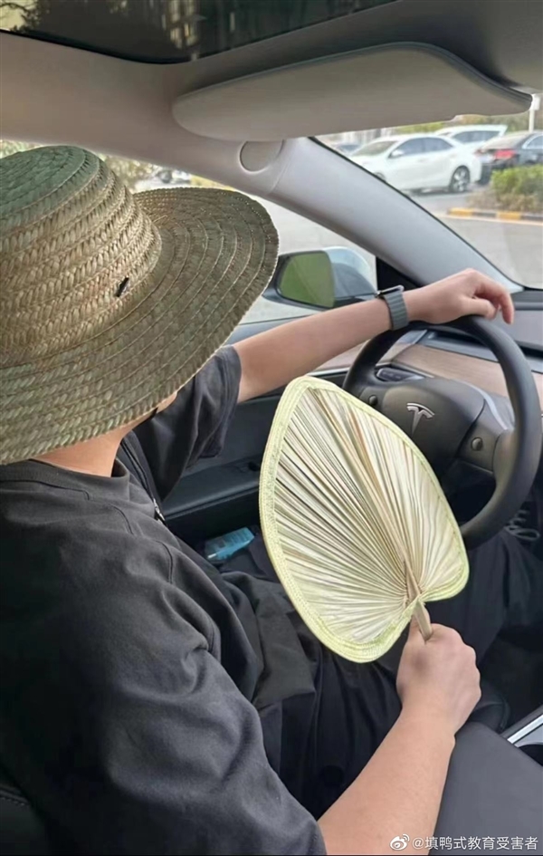 又見車內打傘 特斯拉、蔚來均中招：為何就是不配遮陽簾？