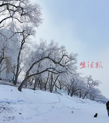 北方人被哈爾濱背刺了 為了南方游客：豆腐腦都整成甜的了！