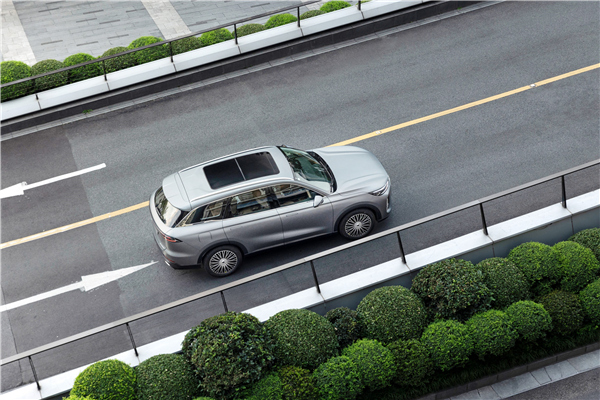 奇瑞張國忠：靠自己，中國燃油車也可以“直道超車”！(圖7)