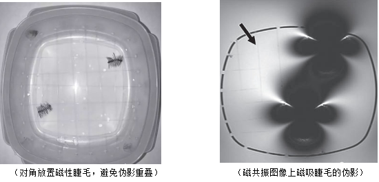那些總戴假睫毛的人：現在都怎么樣了