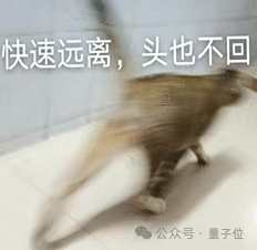 貓貓的運(yùn)動(dòng)方程：首次被物理學(xué)家破解了！