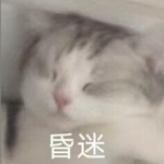 比人強!美國小貓念了4年大學后:獲得了博士學位(圖9) 快別睡了!美國小貓念了4年大學后:獲得了博士學位