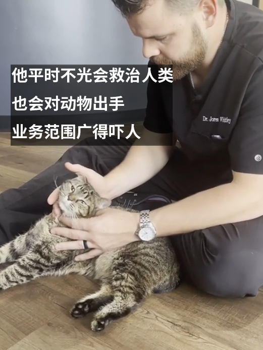 給動物做正骨的國外老哥火了：顧客甚至還有蟒蛇！