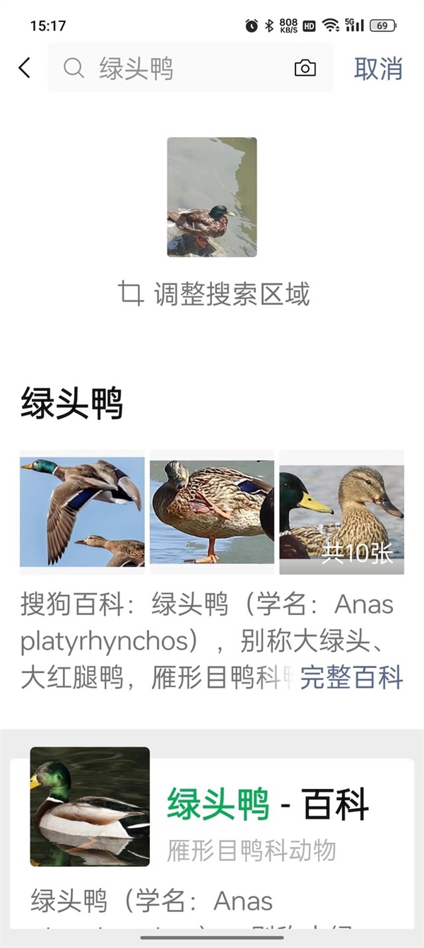 爸媽天天用微信：這些隱藏技巧千萬別忘了教