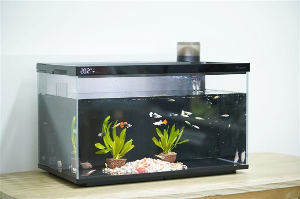 599元懶人養魚利器！當貝智能魚缸1 Ultra圖賞