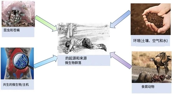 所有遺體都有一個奇怪共同點 無論放置的季節和地點