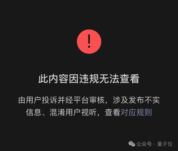 謝賽寧緊急辟謠：Sora跟我一點關系沒有、他們996搞一年了
