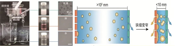 百年難題被攻克 一張神奇的膜成功實現水和油分離 