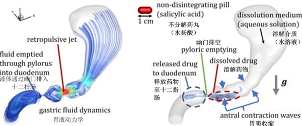 信我！右側(cè)臥吃止疼片效果最好