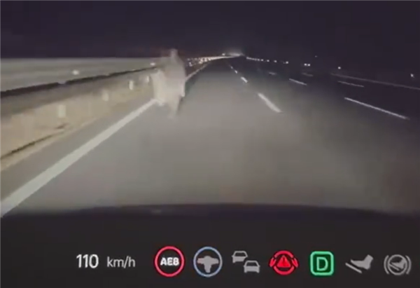 行人凌晨高速路上逆行 理想汽車AEB立功：救了兩個家庭