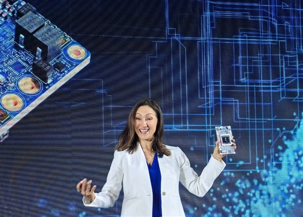 Intel為中國帶來Gaudi2 AI加速器：超高性價比！唯一替代NVIDIA GPU