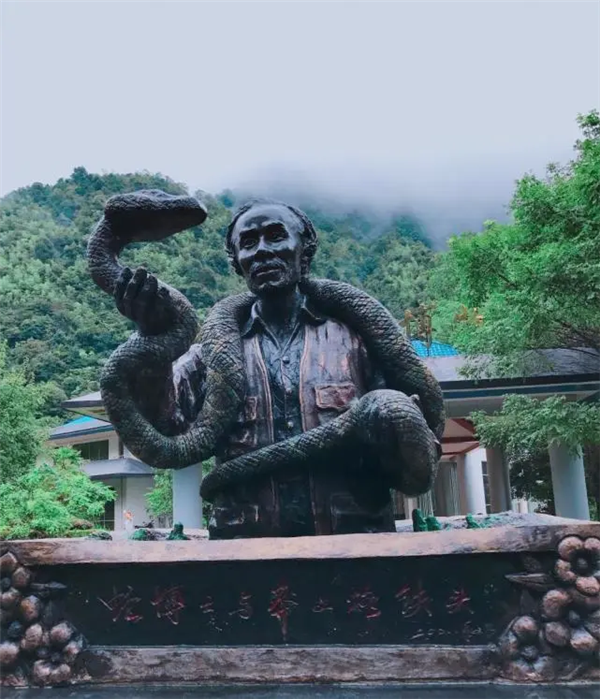 中國(guó)獨(dú)有曾一條價(jià)值100萬(wàn)！小青龍?jiān)趪?guó)外淪為愛(ài)寵