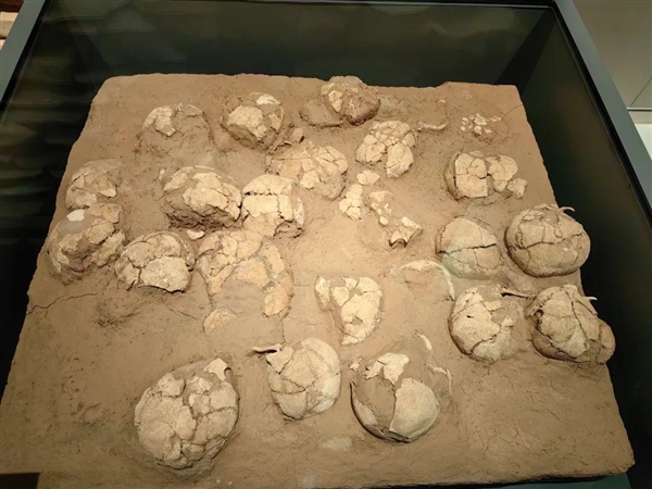未解之謎！4000年前的這座中國古城 竟然用玉砌墻