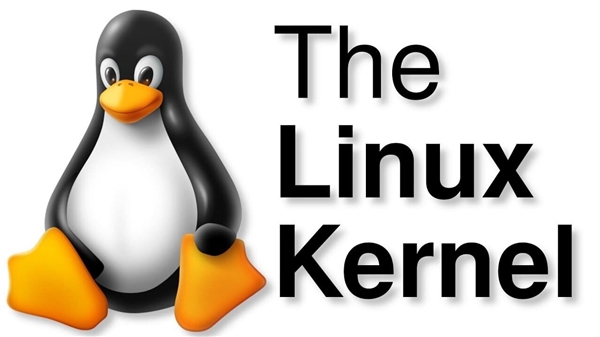 Linux開源翻車、RISC-V開放隱憂：中國自主科技的真正出路在哪兒