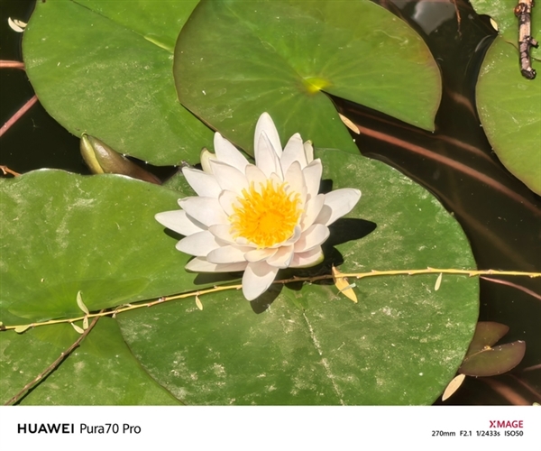 用了一個(gè)月華為Pura 70 Pro：我決定推薦下這個(gè)大杯 超值