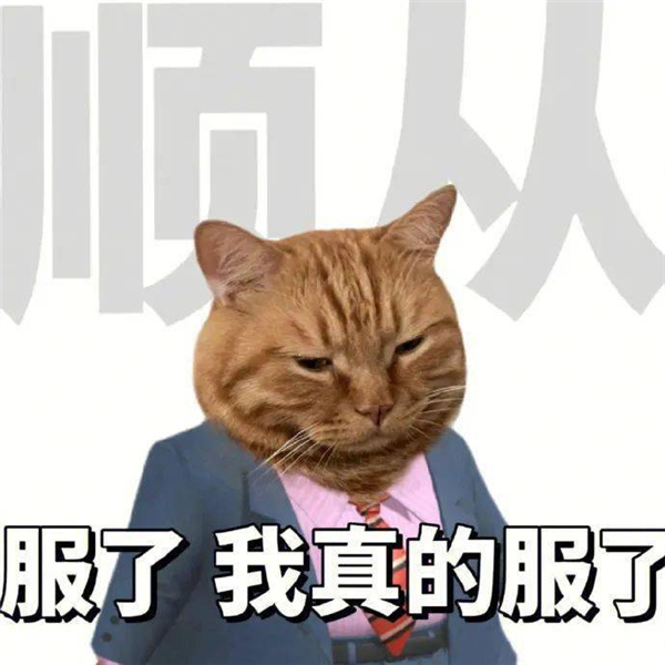 只有蘋果朋友圈才能看Live Photo 是微信不給安卓面子