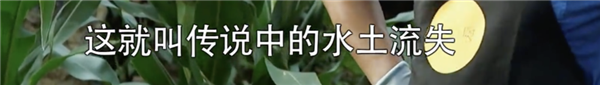 黃磊做飯啥味：爹味兒！