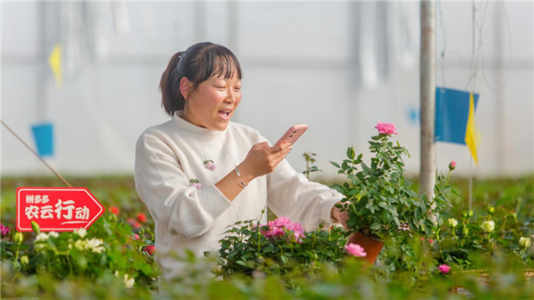 看完了拼多多的財報：我發(fā)現(xiàn)他們好像不在乎錢