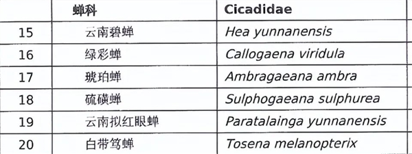 甘肅37人抓野蝎子被捕 繳獲2.1萬只價值20多萬 捉蝎子也違法？