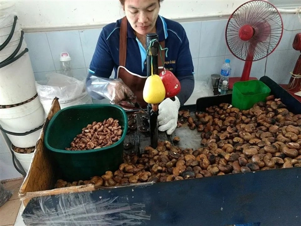 男子旅游時咬了一口當地水果：臉和手3度燒傷！種子經常吃