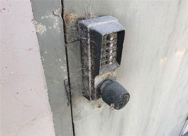 建議賈躍亭別罵小米了 趕緊去直播帶貨吧