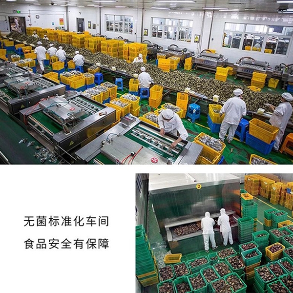 嘉興老字號！糧午齋大肉粽官半價節前沖量：19.9元買10個