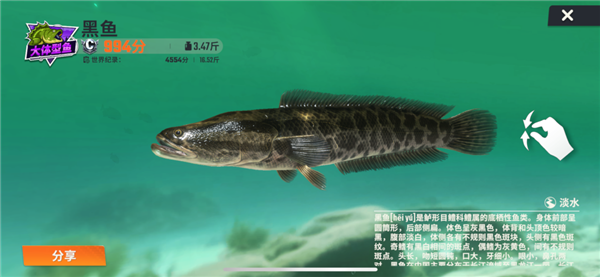 抖音上的一堆倒霉蛋：為了釣魚 甩飛手機