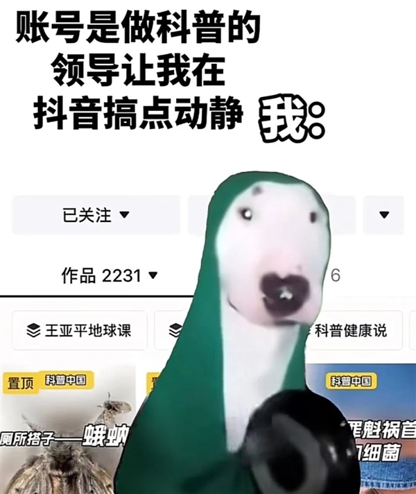 兩只貓meme視頻全網爆火！到底對年輕人有什么魔力