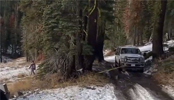 特斯拉Cybertruck雪地陷車：豐田皮卡成功救援