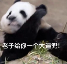 兩個AI關小黑屋：Llama3.1把Claude Opus聊自閉了