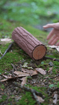 狠人用仙人掌當牙簽！“國產(chǎn)凌凌漆”看了都得服