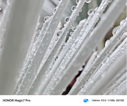 蘋果剛?cè)刖?榮耀Magic7已經(jīng)用AI打敗AI
