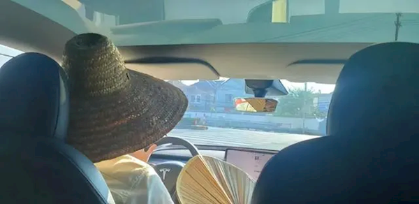 女子打到全景天幕網(wǎng)約車 曬得在車里撐傘 吐槽：別讓我再打到