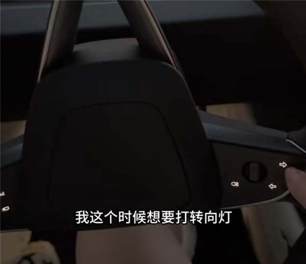 女車主吐槽新Model 3轉向燈反人類設計：打把方向就分不清左右了
