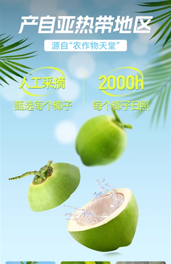 配料表只有椰子水！海藍(lán)優(yōu)鮮椰子水大促：兩件券后19.8元