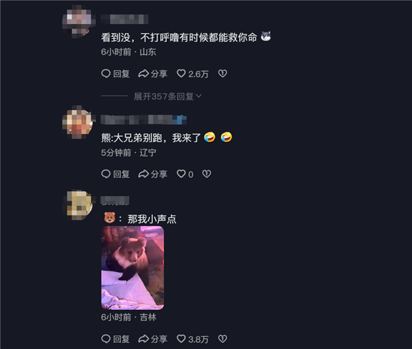 男子凌晨睜眼床邊站了一頭熊 逃跑不忘拿手機 網友:情緒穩定(圖6) 男子凌晨睜眼床邊站了一頭熊 逃跑不忘拿手機 網友:情緒穩定