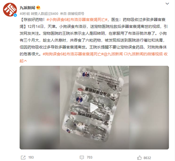 小狗誤食6粒布洛芬器官衰竭死亡 醫生提醒：過量用藥危害甚大