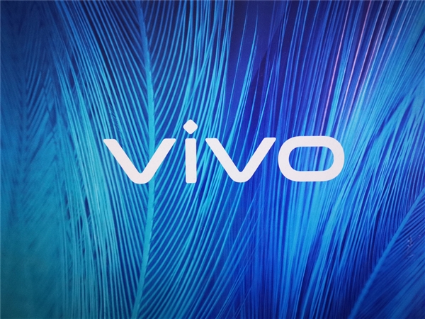 新一代千元續(xù)航王者！vivo Y300現(xiàn)身數(shù)據(jù)庫