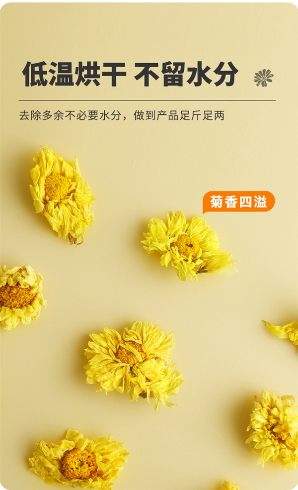 菊香四溢 沁香撲鼻！海王杭白菊花大促：7.9元一罐
