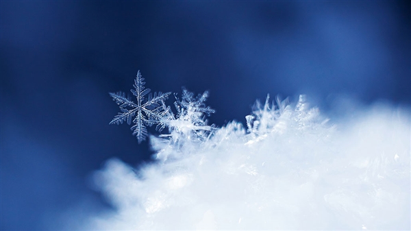 衛生間窗戶一夜未關：積雪堆成雪山 房主清理7個小時