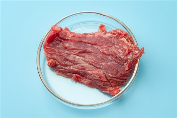 哈爾濱美食鐵鍋燉大鵝被帶火 大鵝：我有點想法