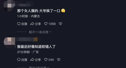 大媽摸猴子屁股致旁邊大爺被咬傷引熱議 網友：大爺扛下所有