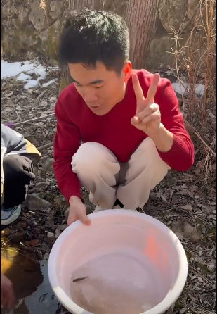 回村后的董宇輝生活有多愜意：喂牛、抓魚太休閑