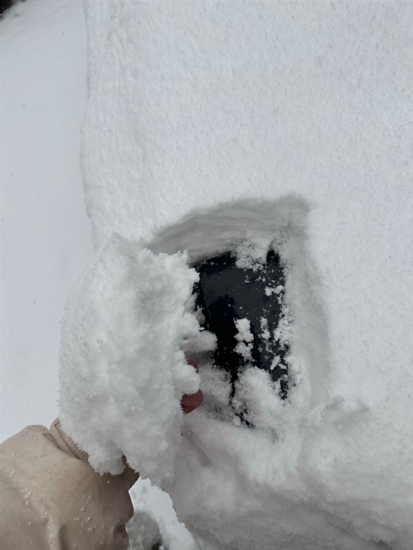 直擊各地強降雪：河南雪厚得像切糕 樹葉車輛“穿冰甲”